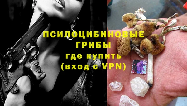 apvp Баксан