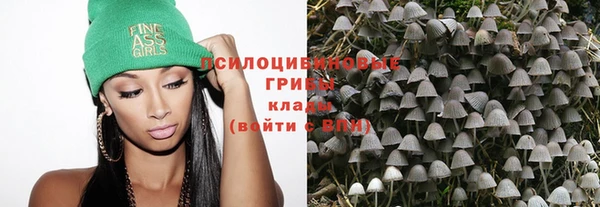 apvp Баксан