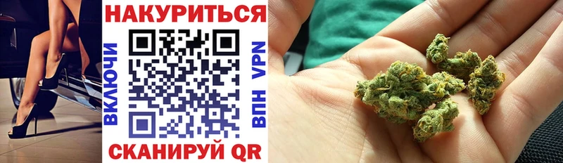 Бошки Шишки планчик  где купить наркоту  Сунжа 